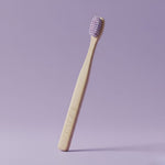 Brosse à dents SOIELYSSE